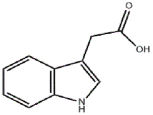 3 Acetic Acid Pgr IAA MF.gif