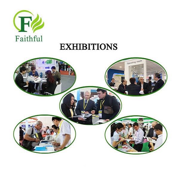Faithful's Exhibition