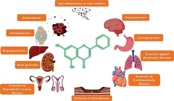 Chrysin Powder Chrysin Powder