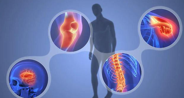 geniposide powder geniposide powder